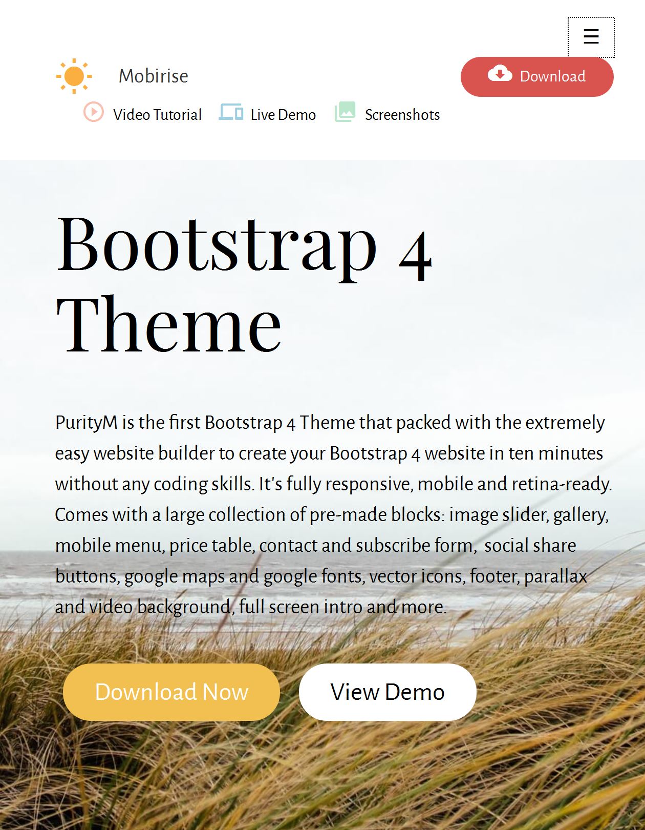 Download Bootstrap Template Free