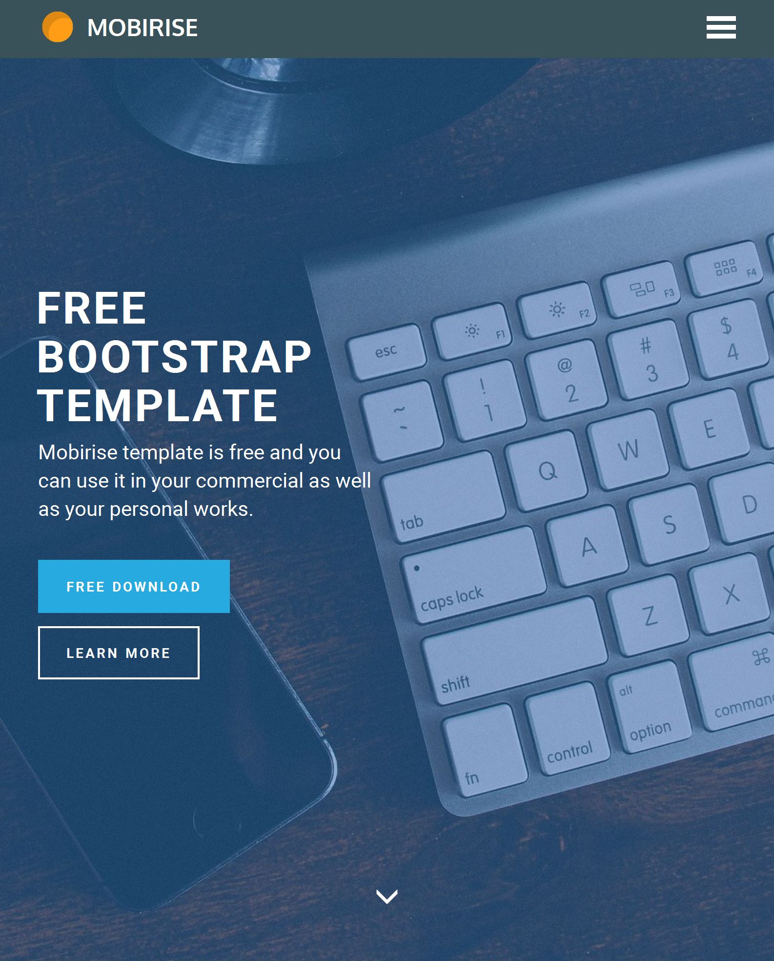 Bootstrap Website Template Free Download