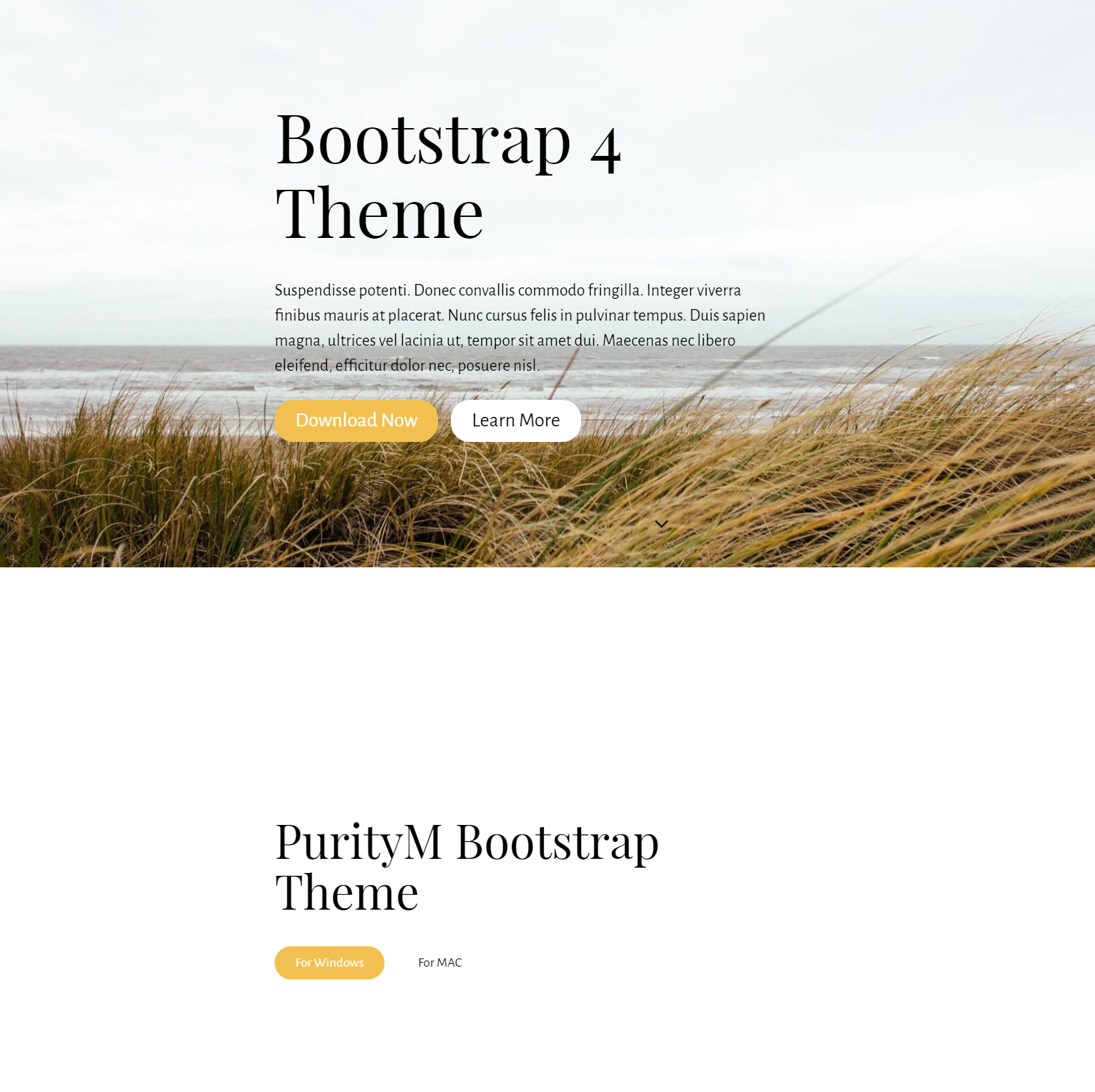 Responsive Bootstrap 4 Templates