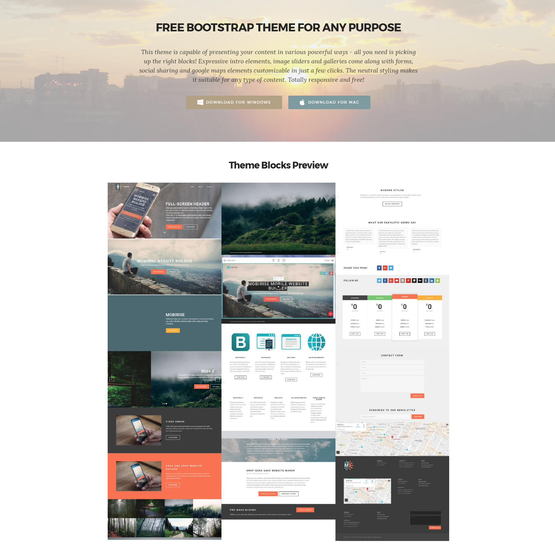 Responsive Bootstrap Themes