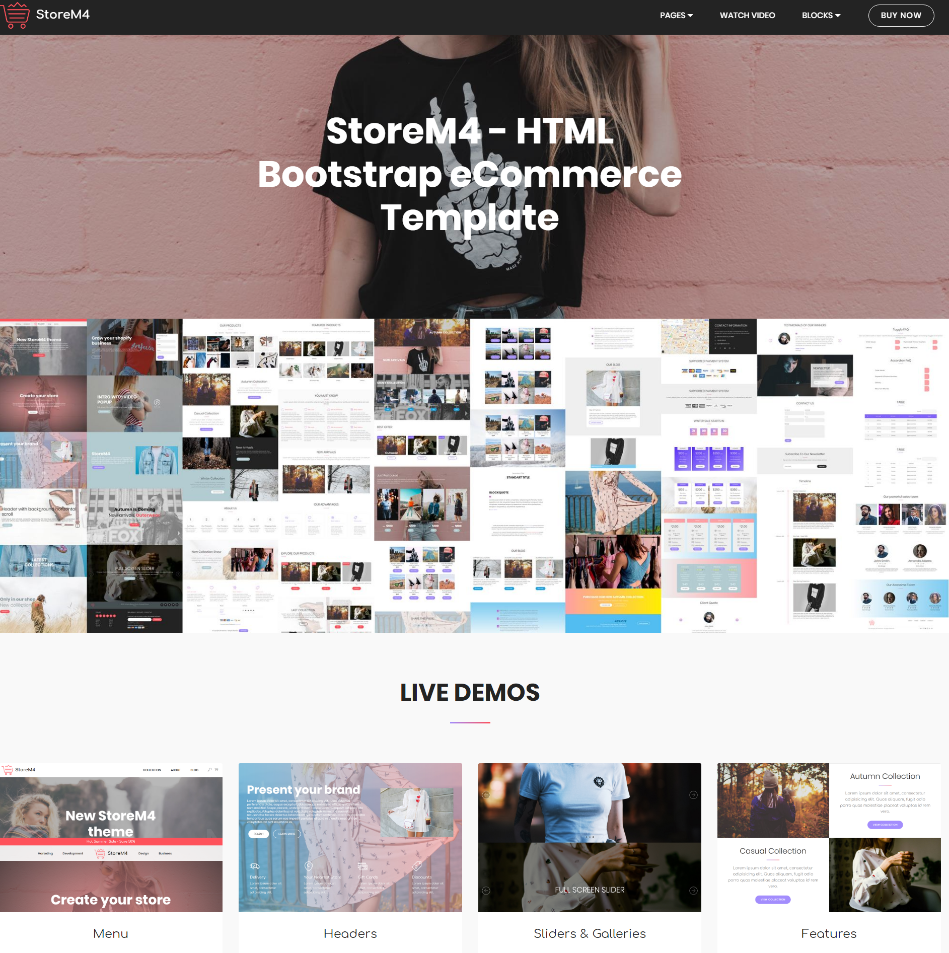 Responsive Bootstrap Storem4 Templates