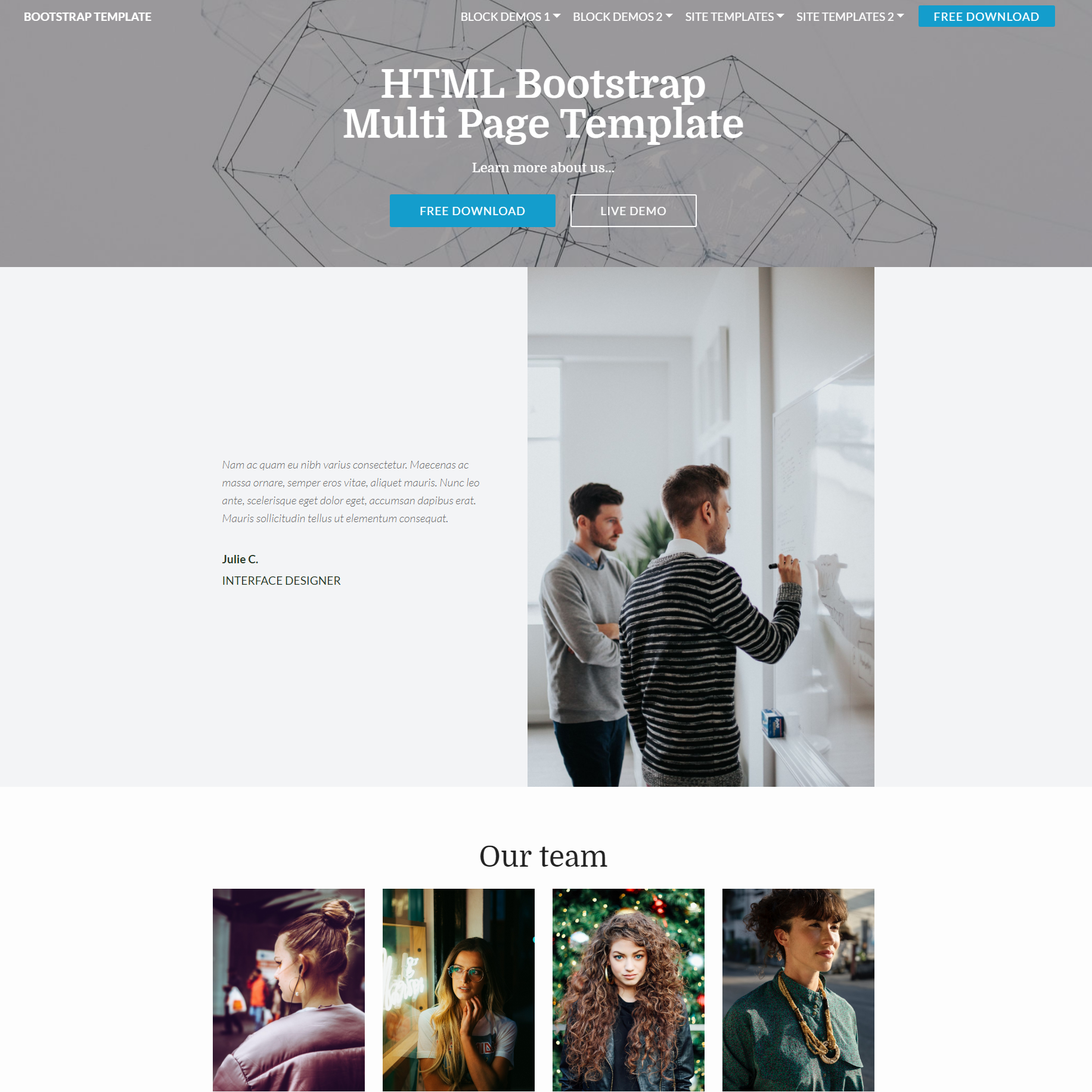 Responsive Bootstrap Multi page Themes